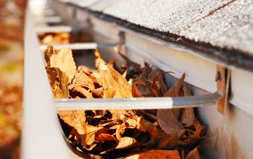 Nether Edge gutter cleaning companies